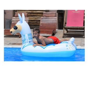 ŽIVOTINJA NA NAPUHAVANJE ZA PLAŽU