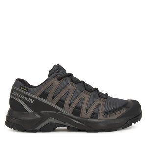 Trekking Salomon X-Adventure Recon Gore Tex L47809200 Siva