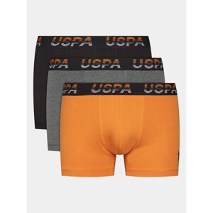 U.S. Polo Assn. Set od 3 para bokserica 80432 Šarena