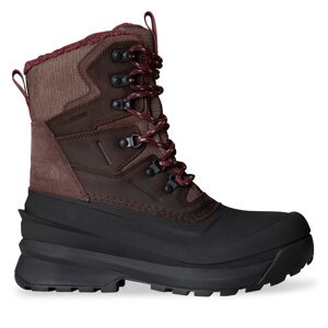 Čizme za snijeg The North Face W Chilkat V NF0A5LW17T41-055 Smeđa