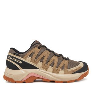 Trekking Salomon X-Adventure Recon Gore Tex L47815500 Smeđa